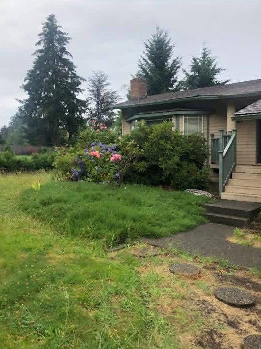 Before: front lawn overgrown and shaggy