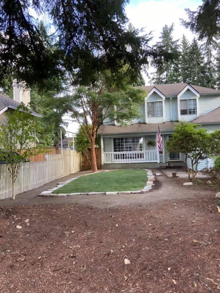 New sod laid in an island bordered with stone
