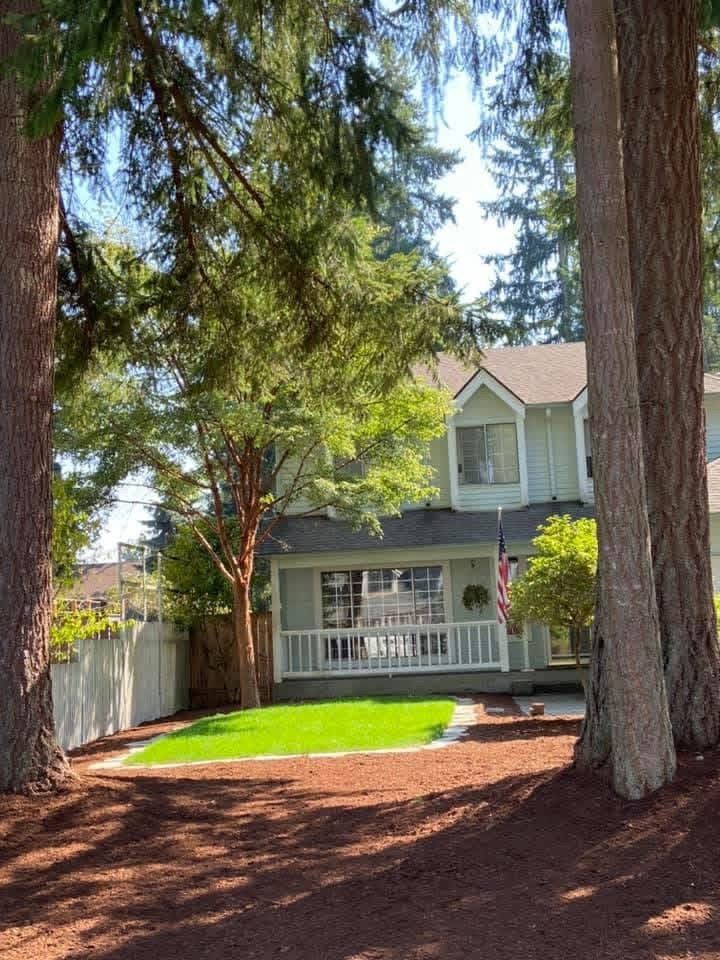 Finished yard with green lawn and fresh mulch
