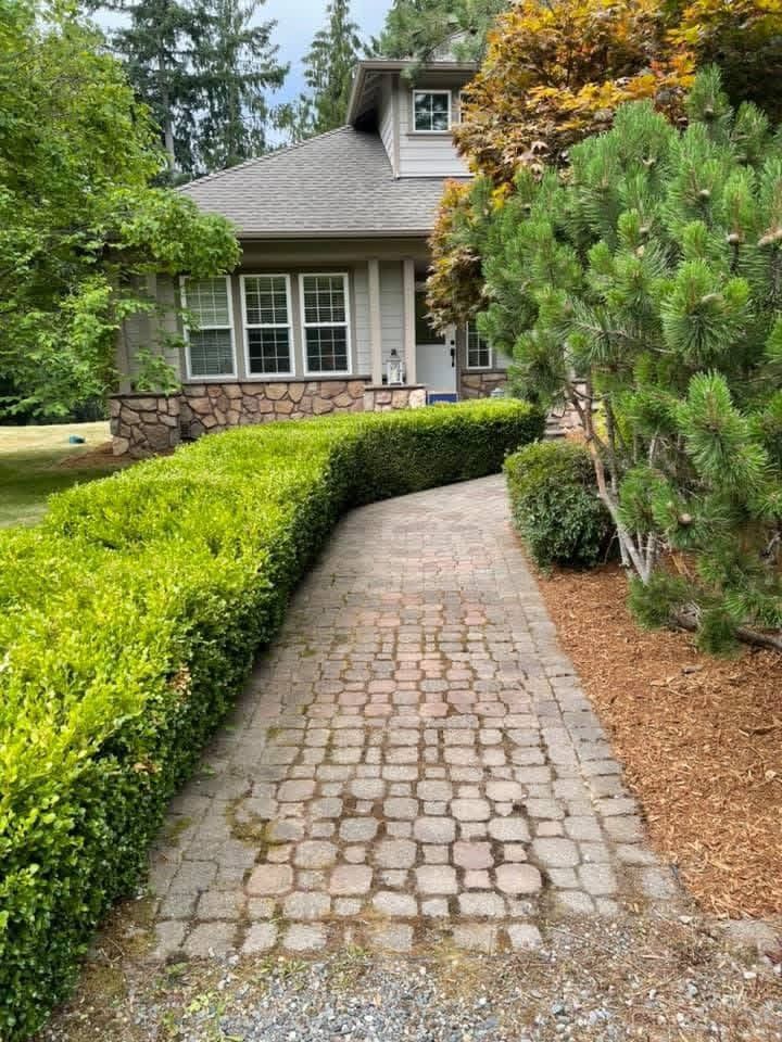 After: hedge trimmed, walkway cleared, fresh mulch