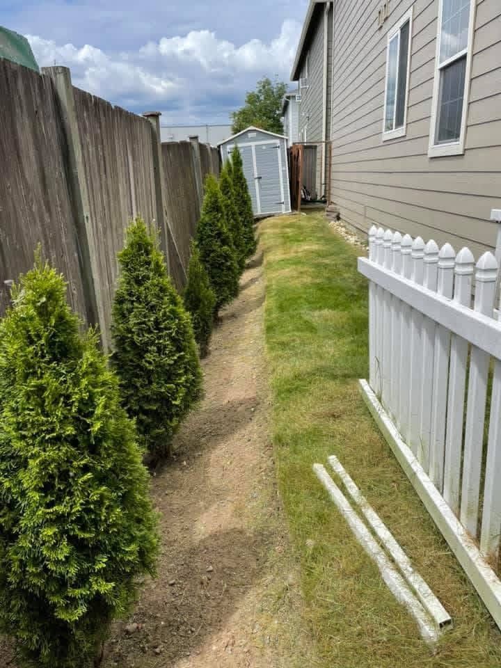 After: side yard mowed and cleared along the fence