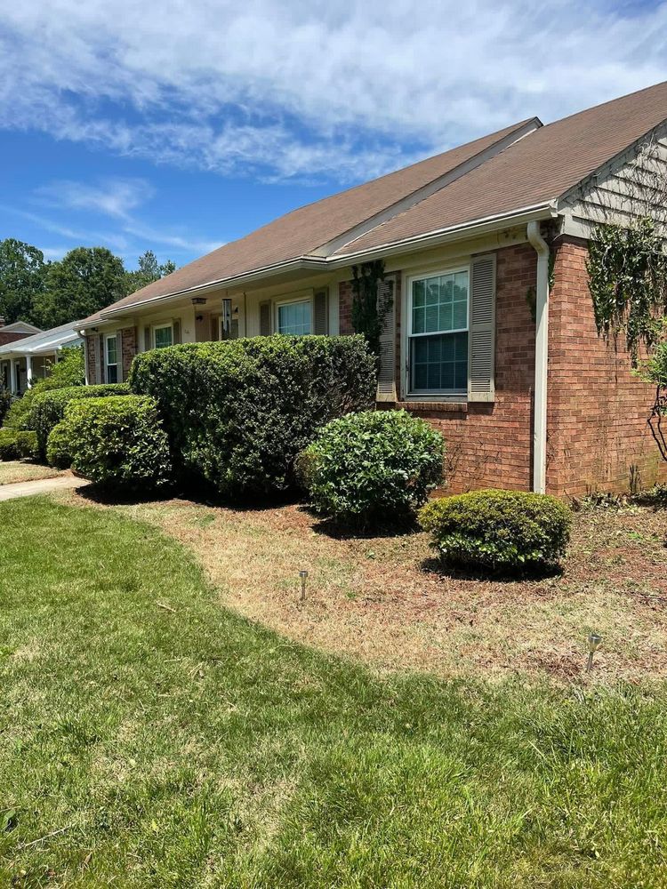 After: shrubs shaped and beds cleaned in front of a brick house