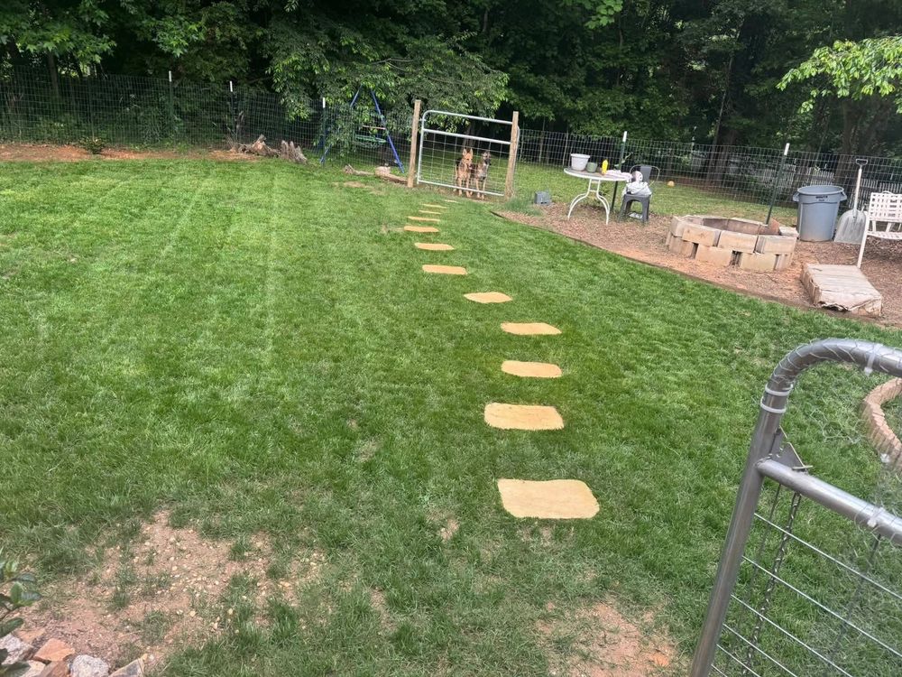 After: thick green lawn around a stepping-stone path