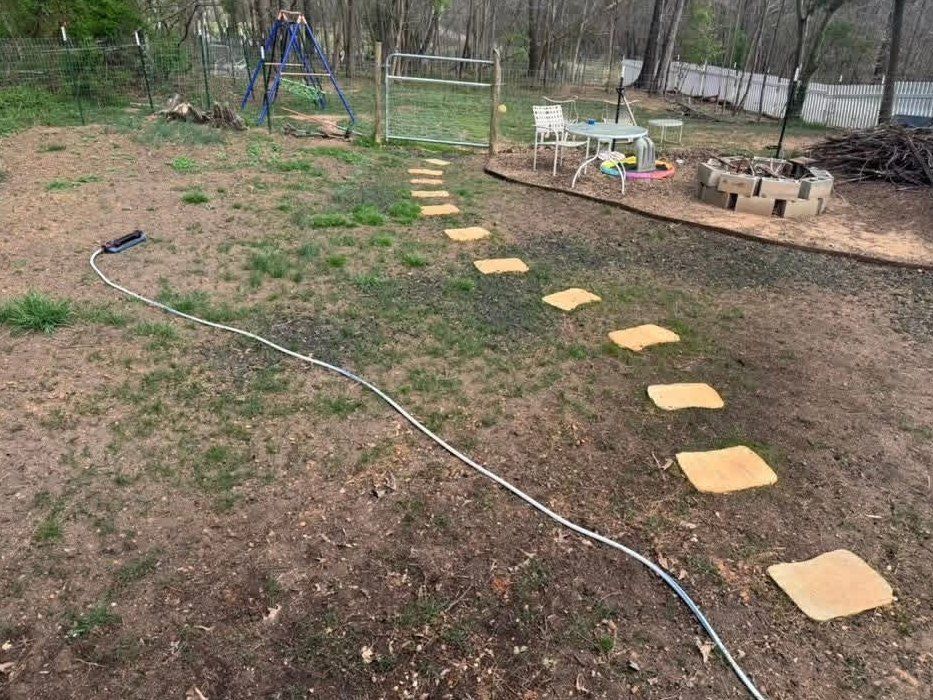 Before: thin, patchy lawn with bare dirt